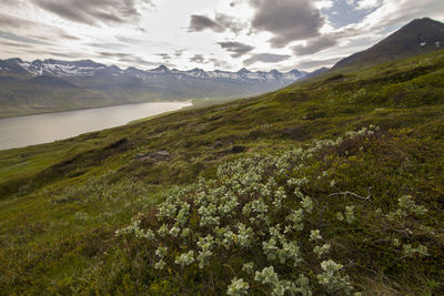 Scenic view of mountains and fjord against sky