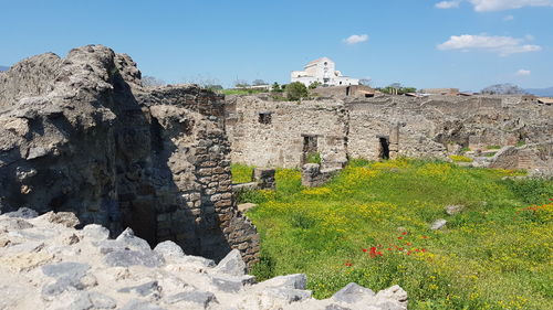 Plants growing on old ruin building against sky