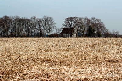 Bare trees on field against sky