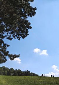 Trees on field against sky