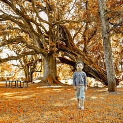 Full length of boy standing by tree during autumn