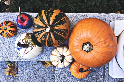 Multi colored pumpkins on table