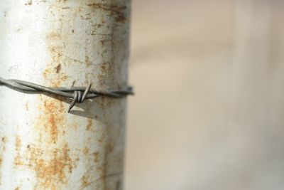 Close-up of peeled wall