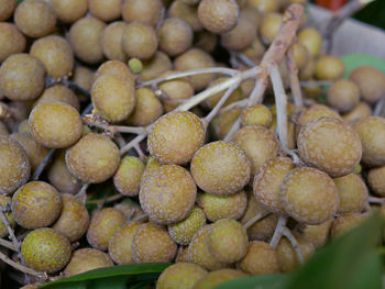 Close-up of fruits for sale at market stall