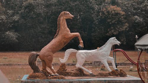 Side view of horse statue