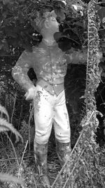 Reflection of trees in water