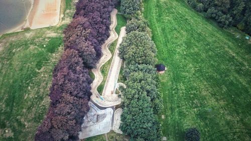 High angle view of trees growing on field