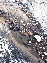 High angle view of stones in water