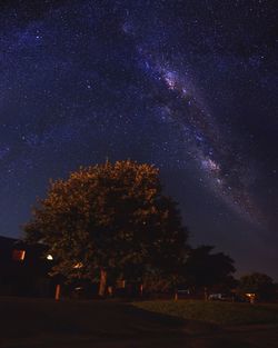 Low angle view of trees against sky at night