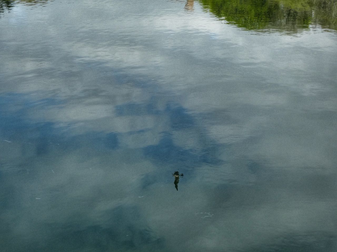 HIGH ANGLE VIEW OF YOUNG WOMAN SWIMMING IN LAKE