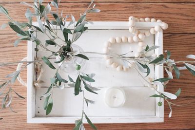 Close-up of white flowers on table