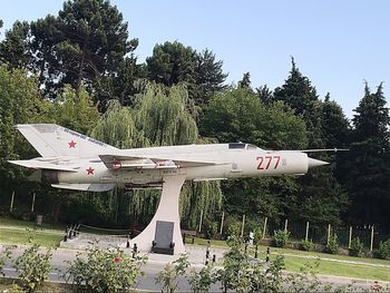 Airplane flying by trees against sky