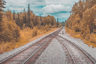 Railroad tracks amidst trees during autumn