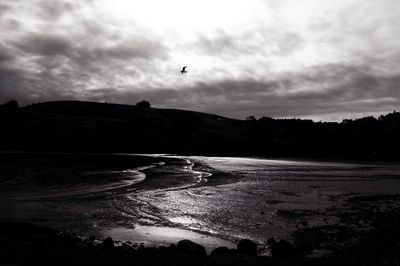 Birds flying over sea against sky