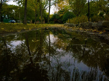 Reflection of trees in stream in park