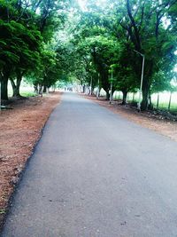 Empty road along trees