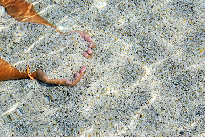Cropped hands holding sand in sea