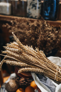 Close-up of ropes