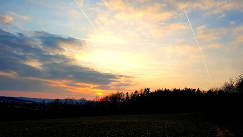 Silhouette trees on field against sky at sunset