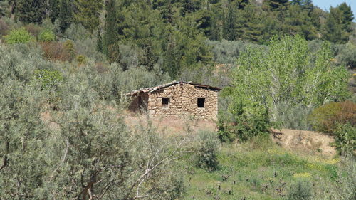 Abandoned built structure on landscape