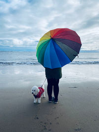 Woman under an umbrella walking a dog at the beach