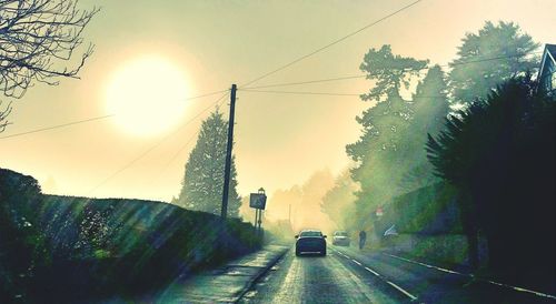 Sun shining through trees