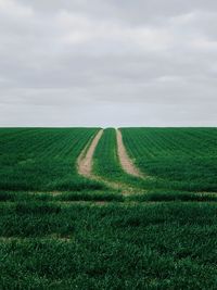 land