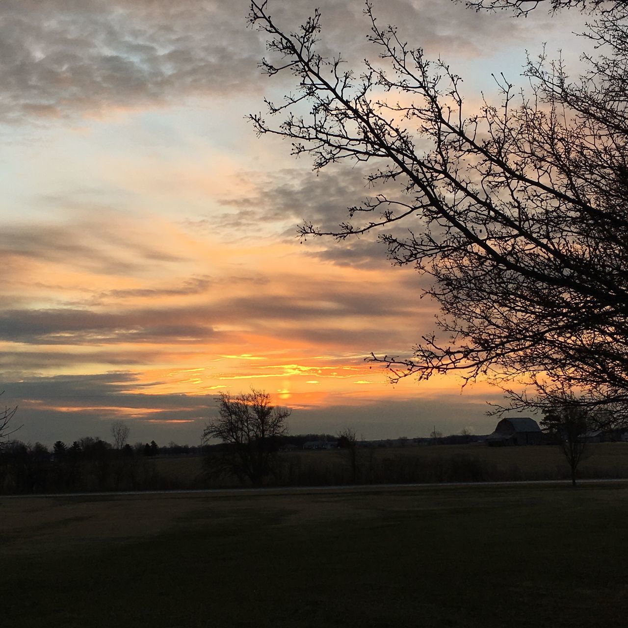 sunset, sky, silhouette, tree, tranquility, tranquil scene, scenics, landscape, cloud - sky, beauty in nature, orange color, bare tree, nature, field, idyllic, cloud, cloudy, dramatic sky, branch, outdoors