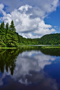 Scenic view of lake by trees against sky