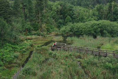 A young couple enjoys a hike on a boardwalk in the pacific northwest.