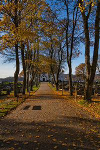 Footpath amidst trees in park during autumn