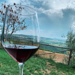 Red wine glass on land against sky