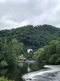 Scenic view of river amidst trees against sky