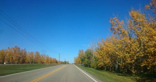 Country road along trees and blue sky