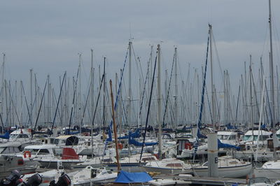 Boats moored at harbor