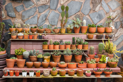 Potted plants for sale against wall at market stall