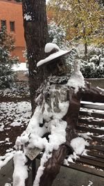 Snow on tree trunk during winter