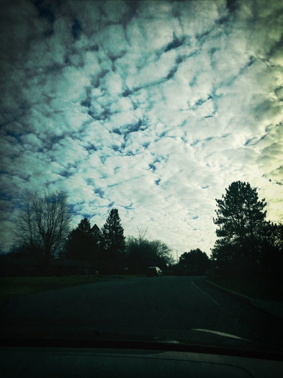 transportation, tree, road, sky, silhouette, the way forward, car, cloud - sky, land vehicle, country road, tranquility, road marking, nature, tranquil scene, street, diminishing perspective, mode of transport, cloudy, cloud, windshield