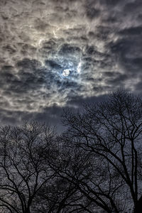 Low angle view of silhouette bare tree against sky