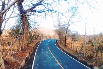 Empty road along trees