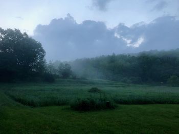Scenic view of trees on field against sky