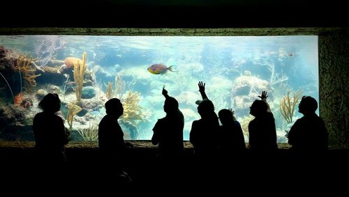 Silhouette of people in aquarium