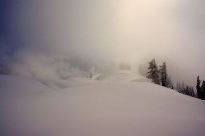 Snow covered landscape