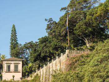 Funcha on the island of madeira