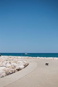 Scenic view of beach against clear blue sky