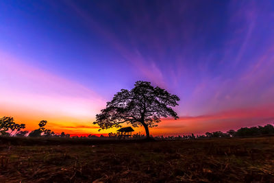 Silhouette tree on field against romantic sky at sunset