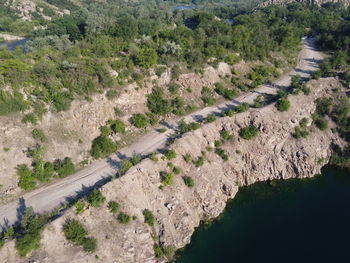 High angle view of road by plants in city