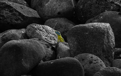 Full frame shot of rocks