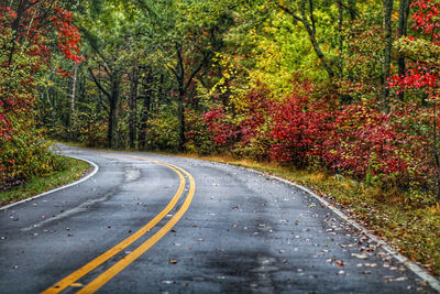 Road amidst trees in forest