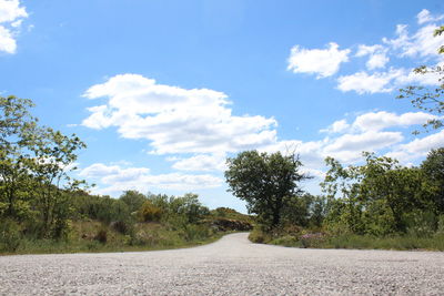 Road by trees against sky